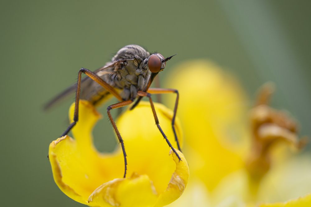 Photograph by Юрій Стороженко