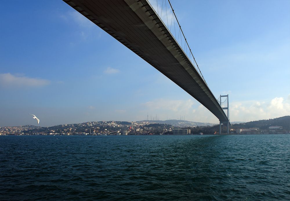 Photograph by Сергей Сережников