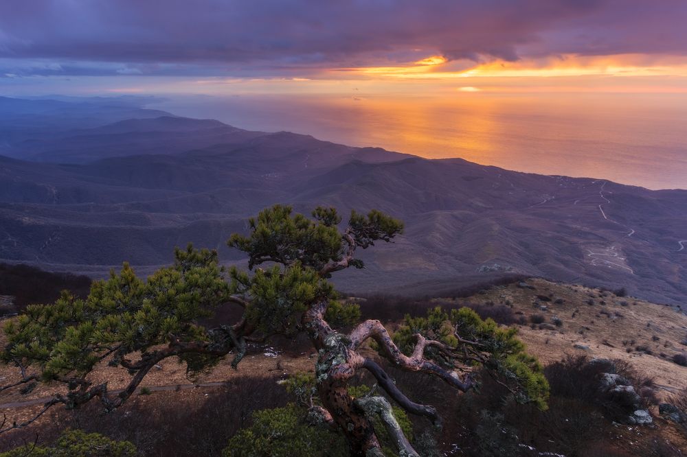 Photograph by Юлия Шумляева