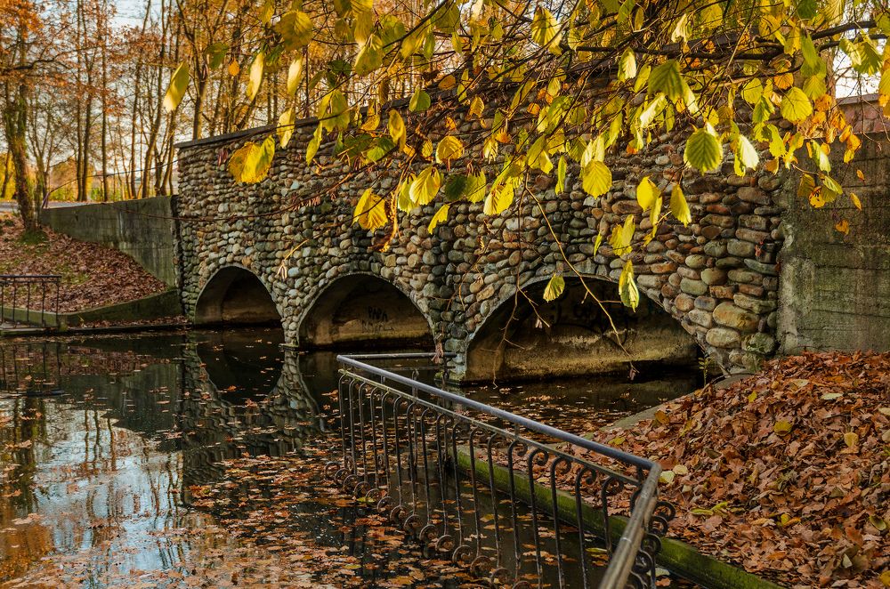 Photograph by Евгений Хитрук