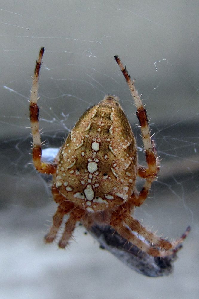 Фотография автора Богдан Петров