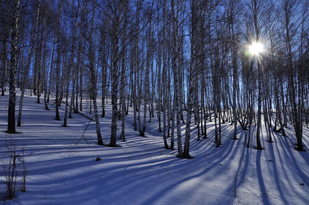 Photograph by Михаил Колосов