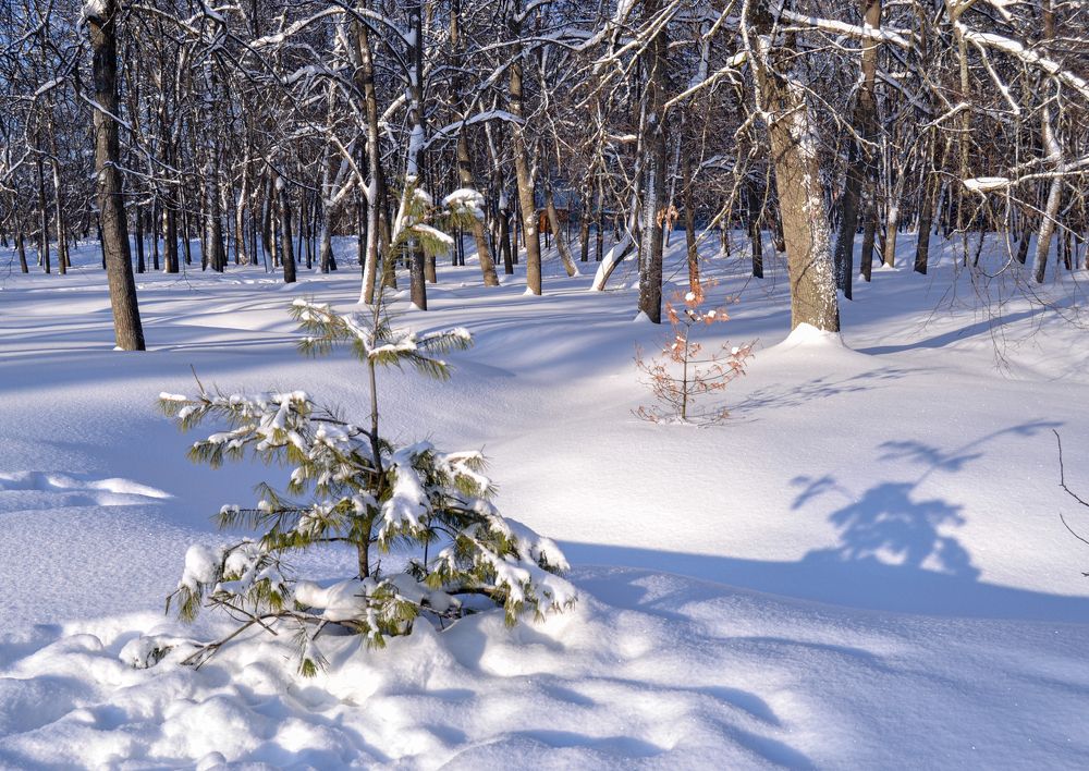 Photograph by Елена Кулыгина