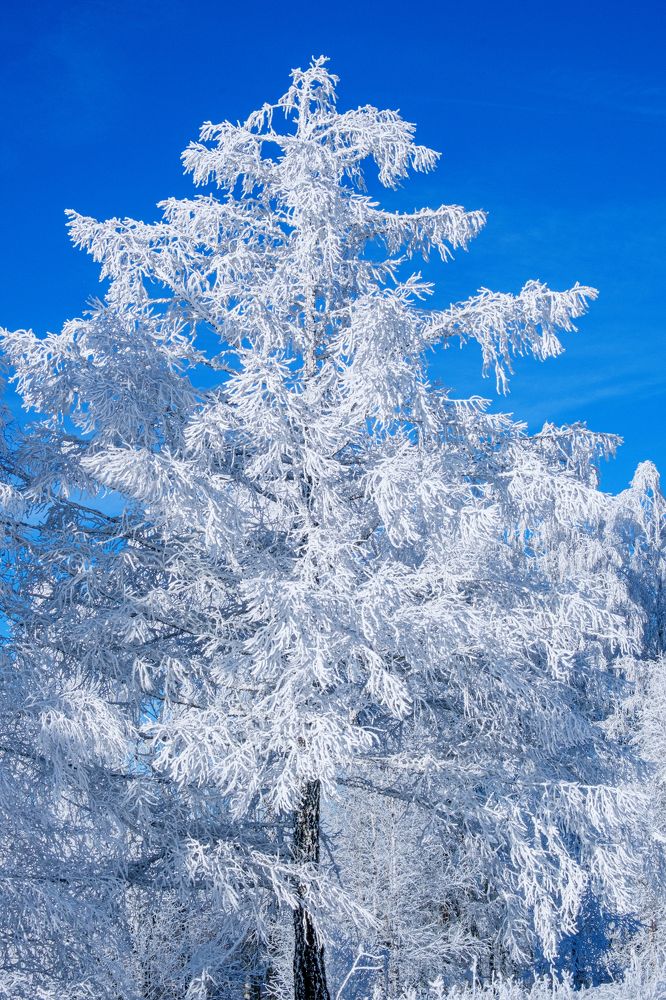 Photograph by Евгений Соколов