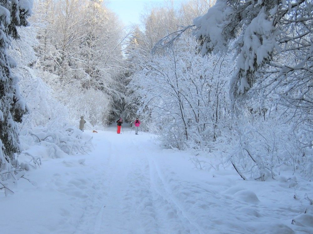 Photograph by Валерия