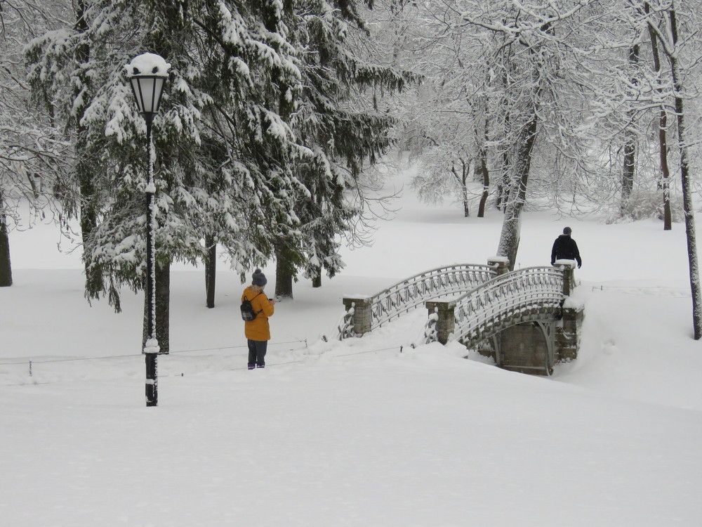 Photograph by Валерия