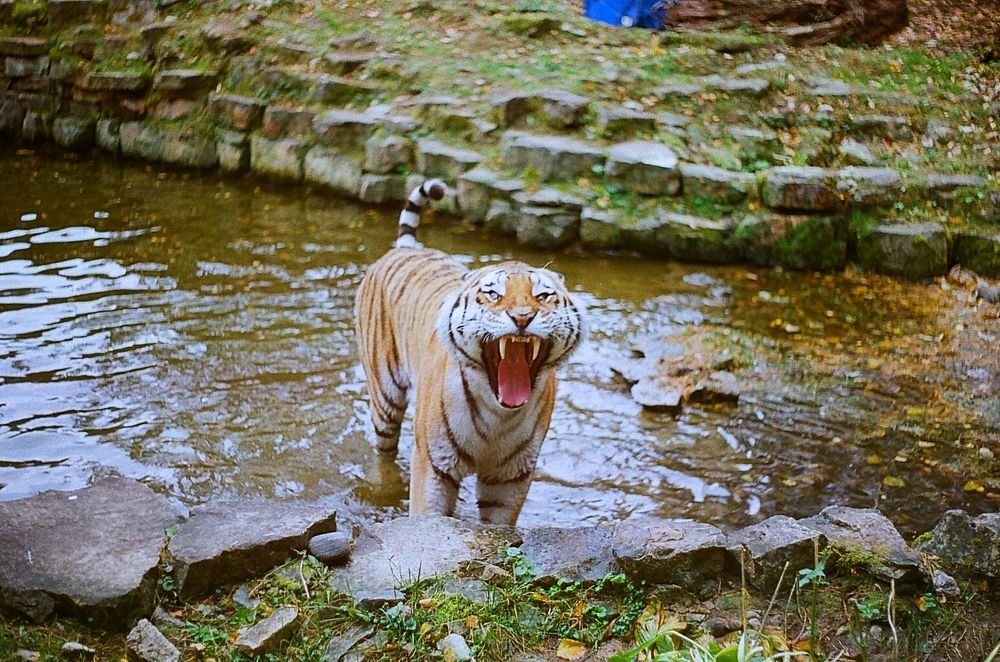 Photograph by Сергей Косачев