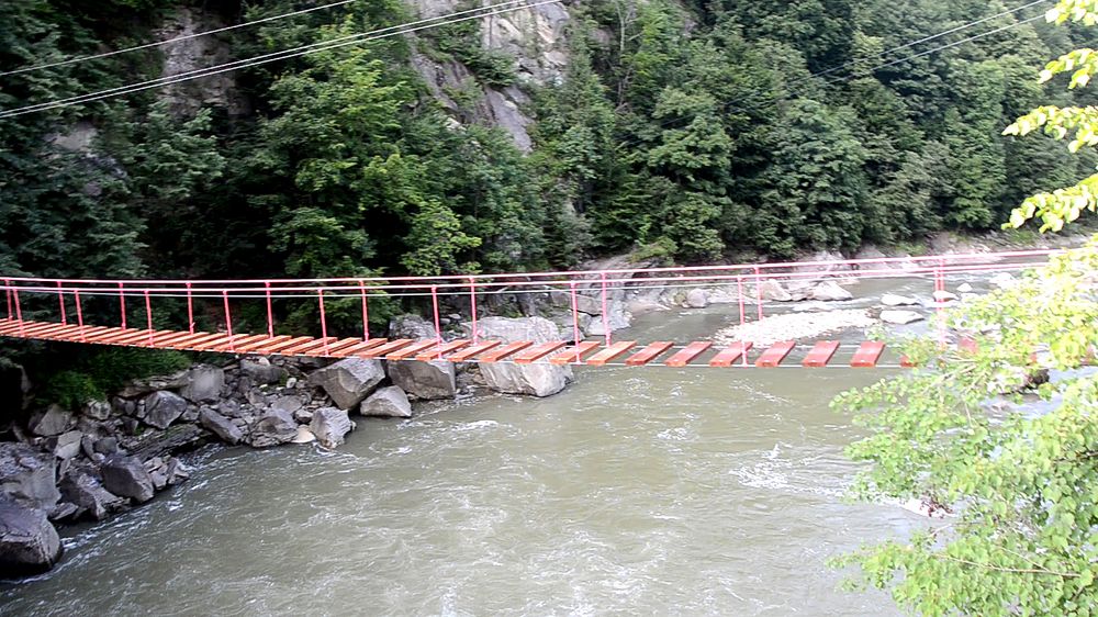 Фотография автора Богдан Петров