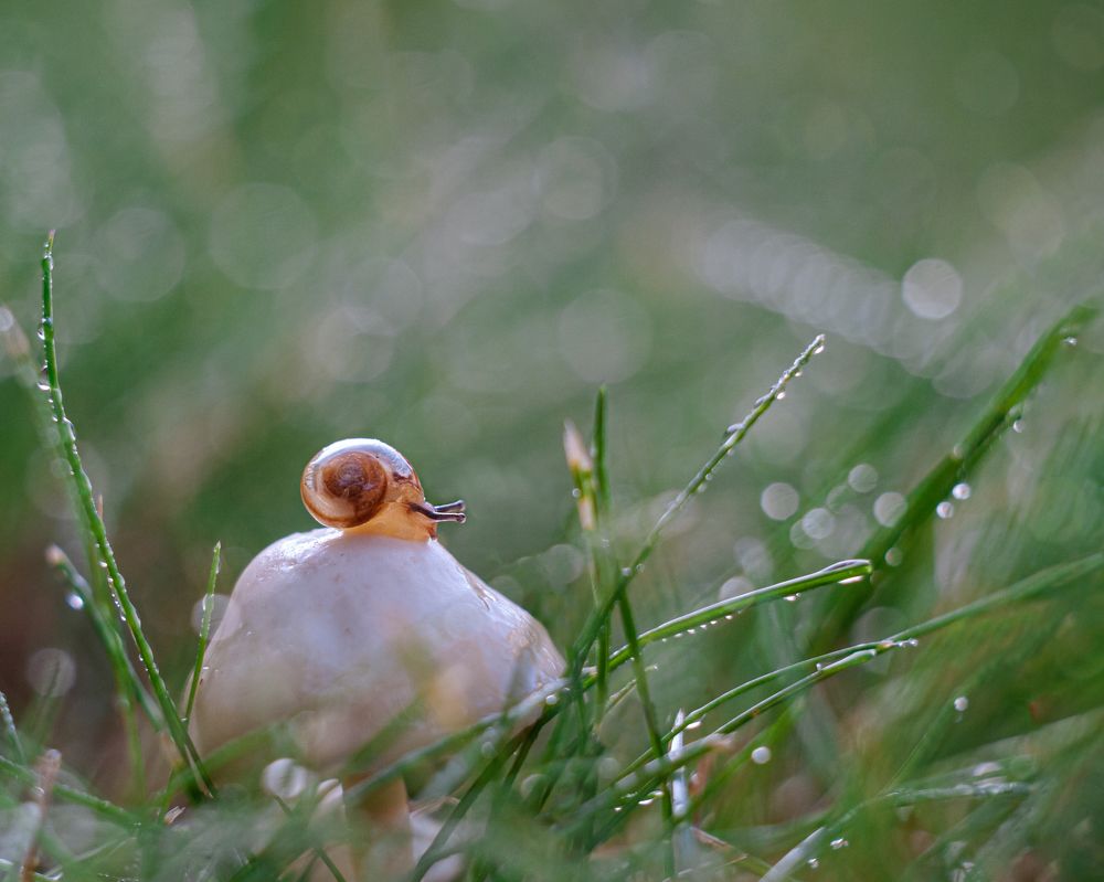 Photograph by Динара Зуйкова