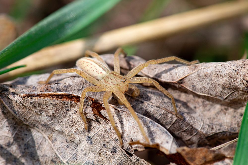 Photograph by Сергей Беляевский
