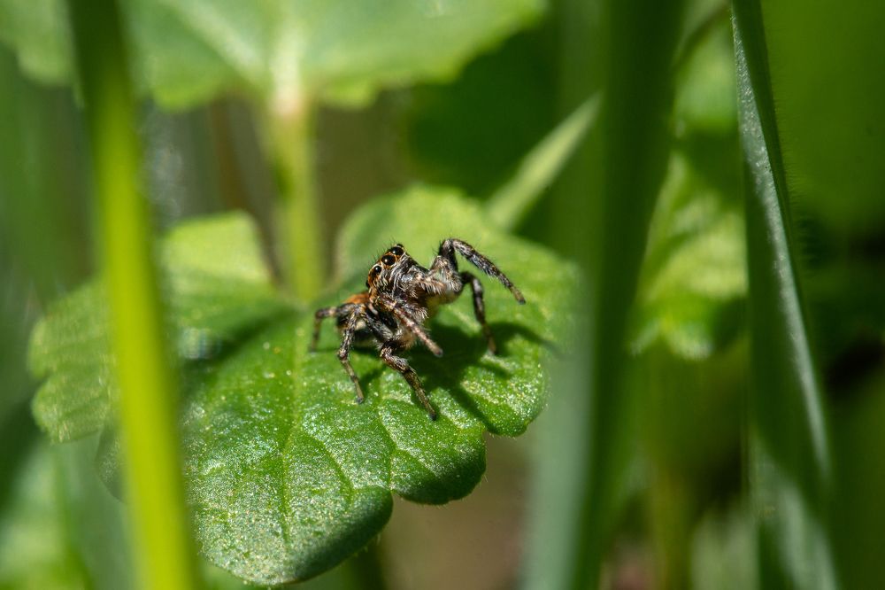 Photograph by Сергей Беляевский