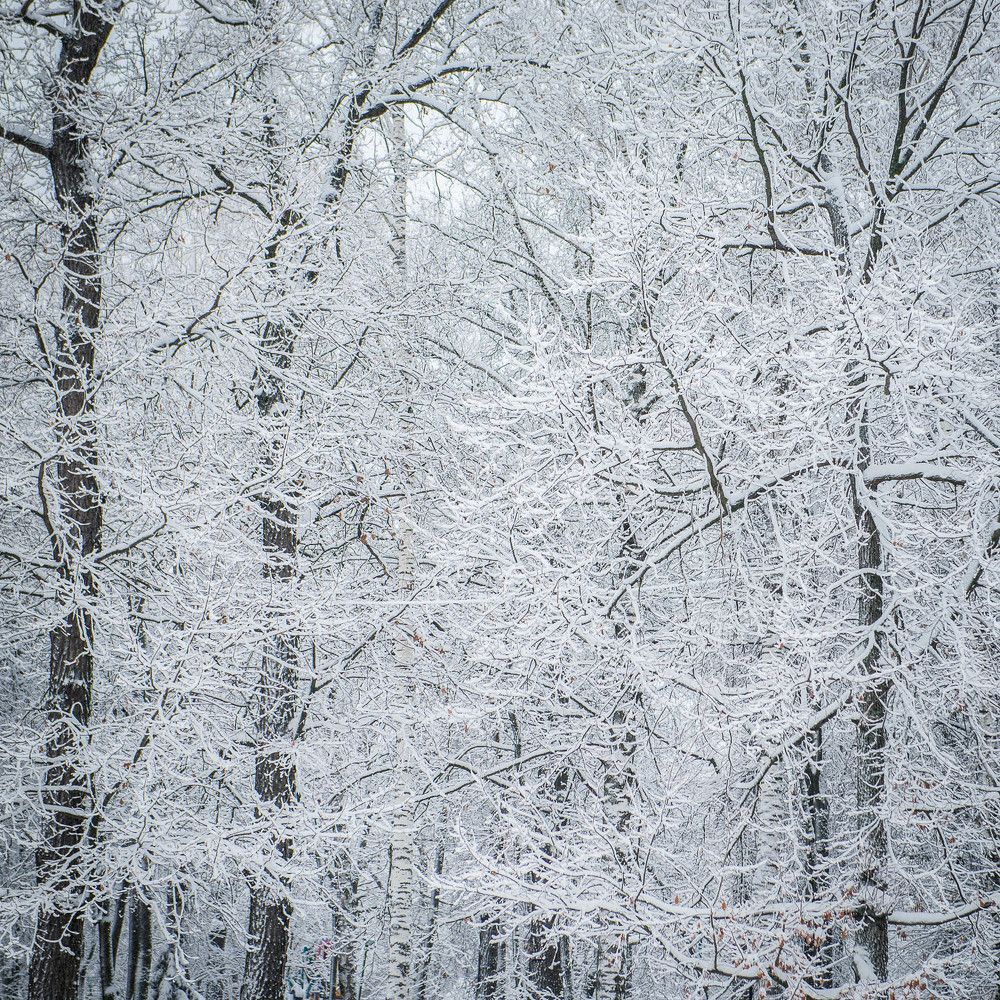 Photograph by Ирина Савенко