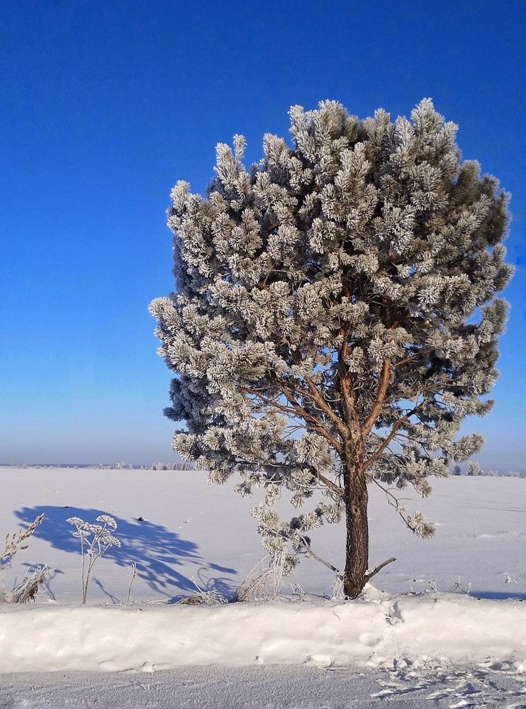 Photograph by Мотина Екатерина