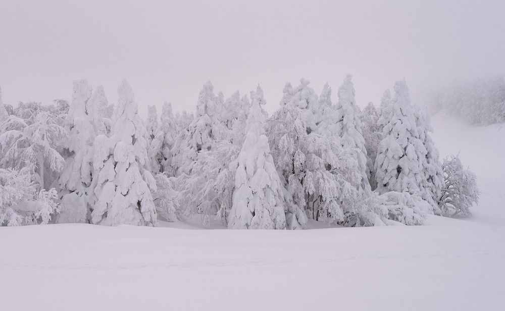 Photograph by Onishi Evgeniya