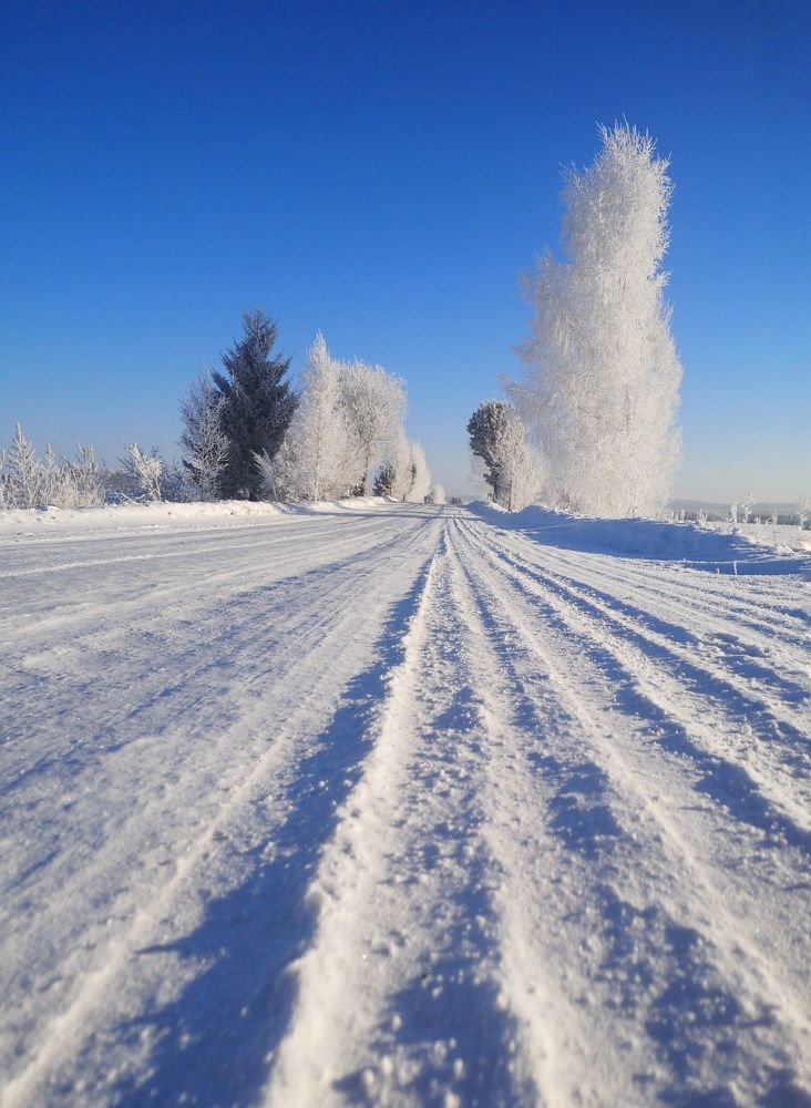 Photograph by Мотина Екатерина