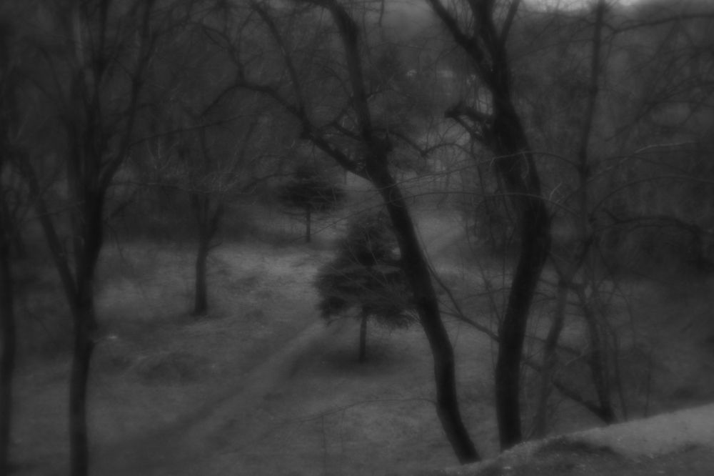 Photograph by Jamilya Tapaskhanova