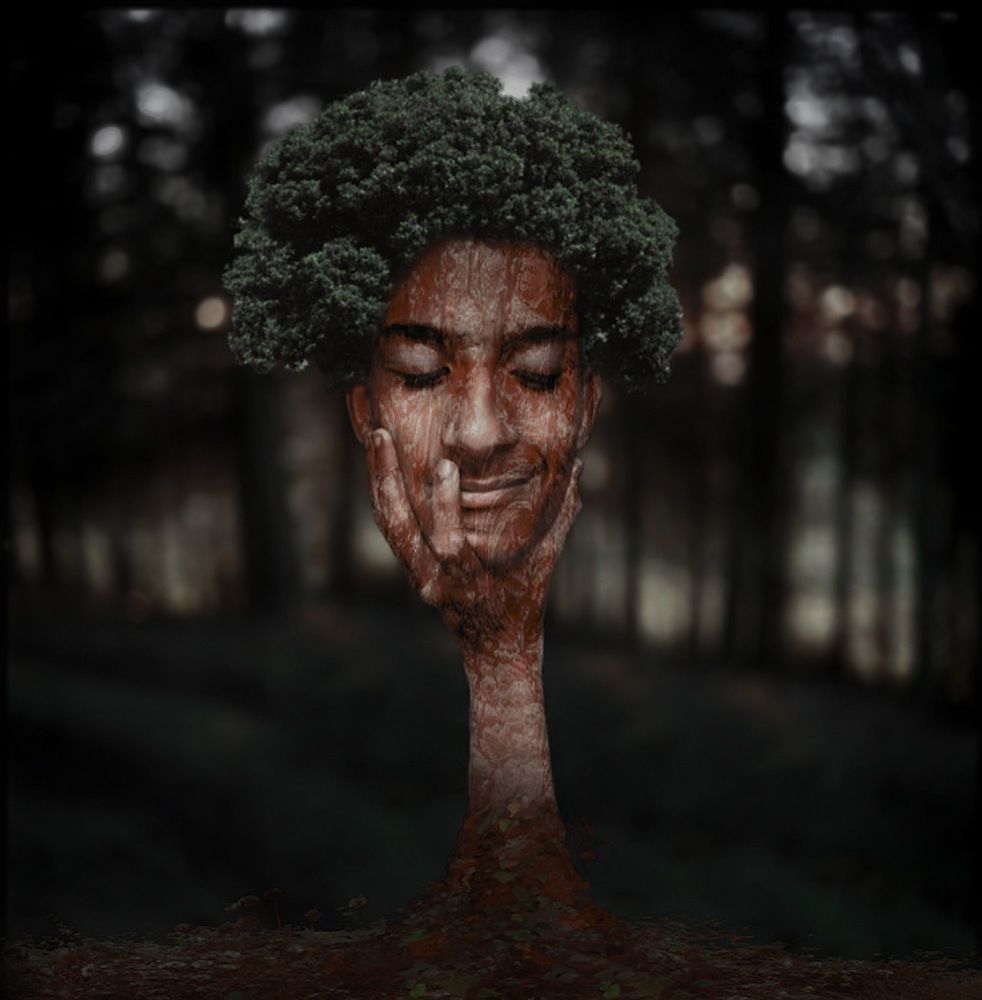 Head Tree ?