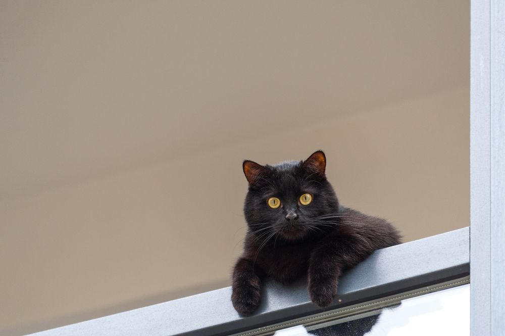 Photograph by Валерий Клейменов