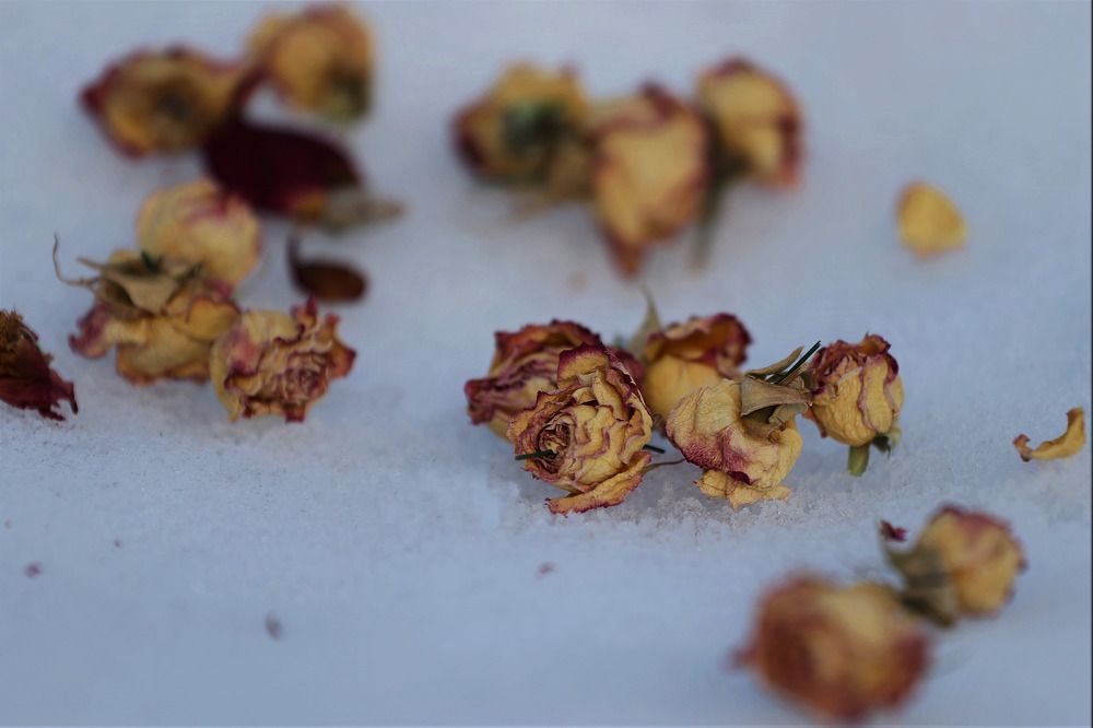 Photograph by Андрей Телибаев