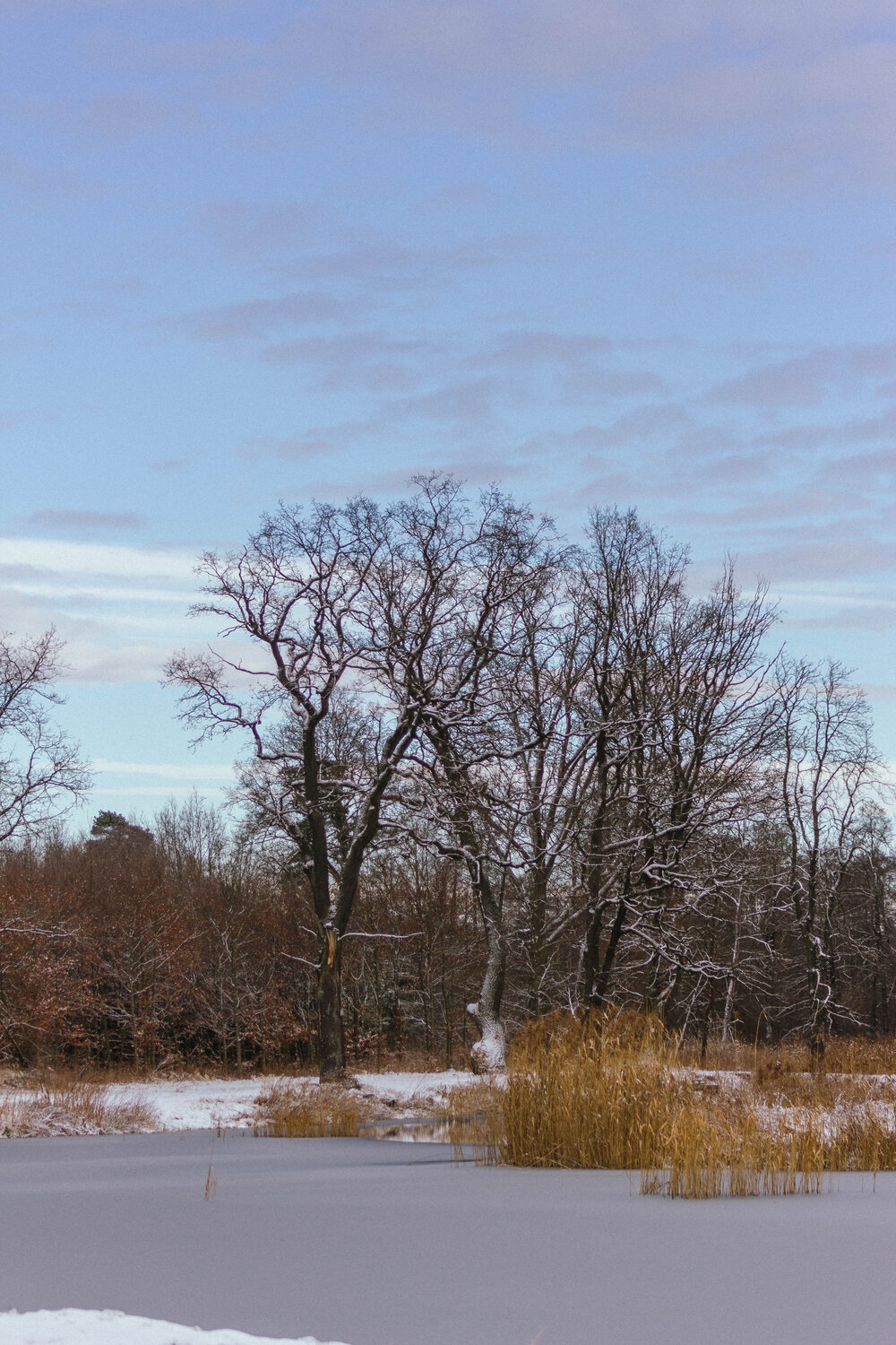 Photo #6973636
