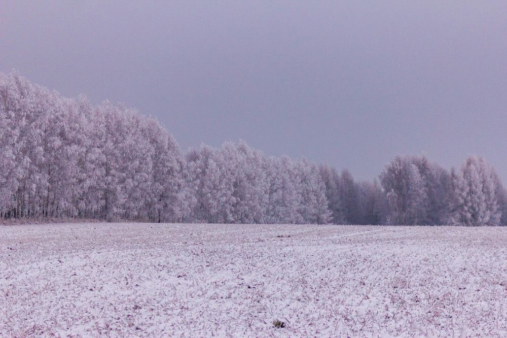 Photograph by Dariusz Pańczyk