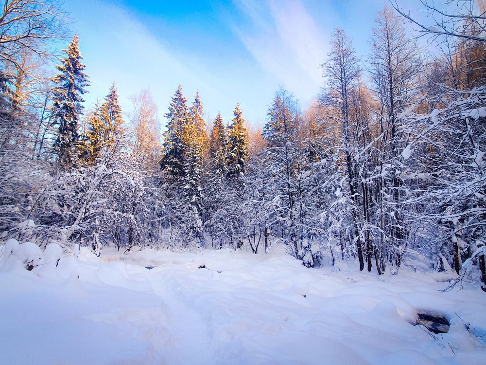 Река под снегом.