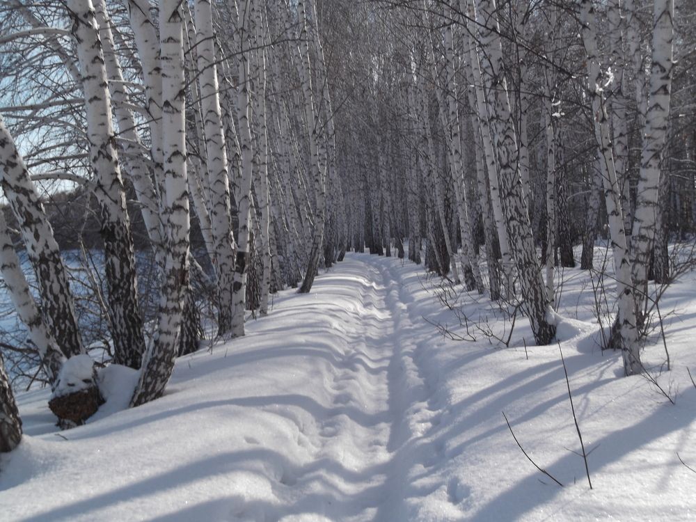 Photograph by Ирина