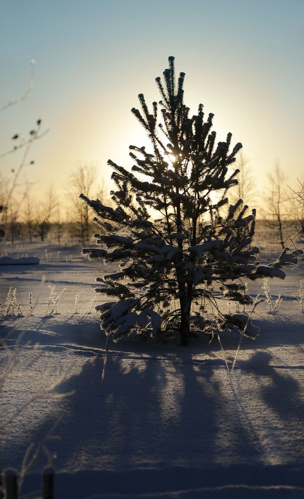 Фотография автора Андрей Шувалов