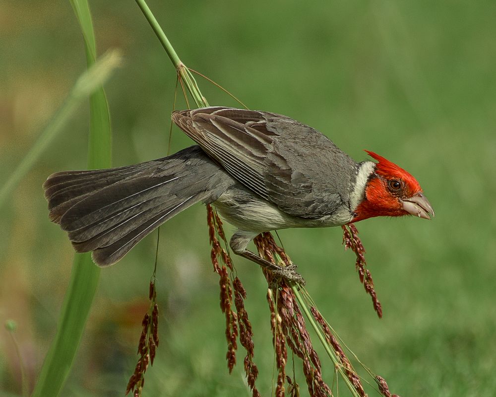 Photograph by Ramon Arnais Santana sanchez