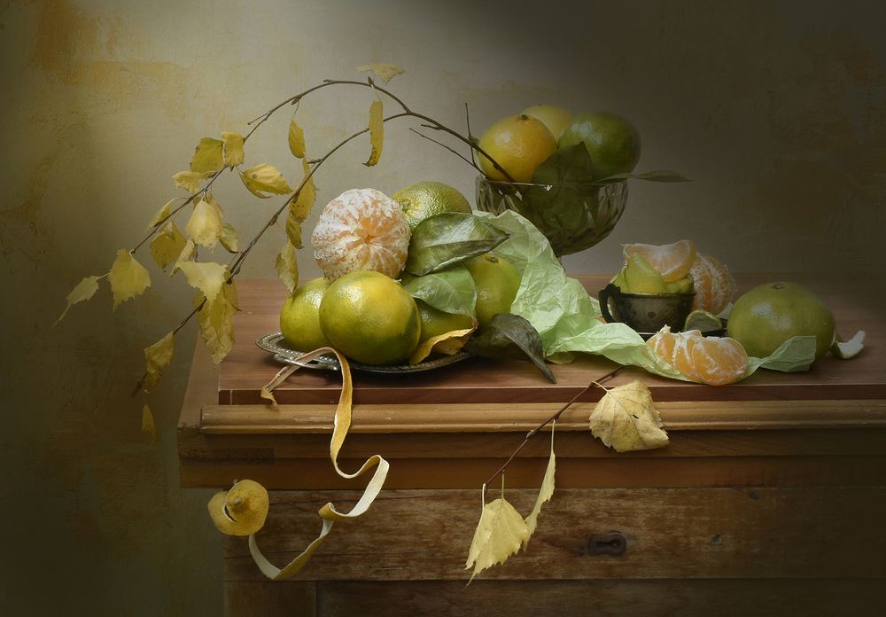 Фотография автора Шипунова Ирина