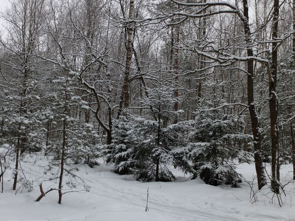 Photograph by Ираида Стародубцева