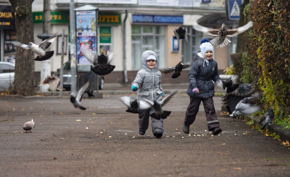 Photograph by Виктория Гунько