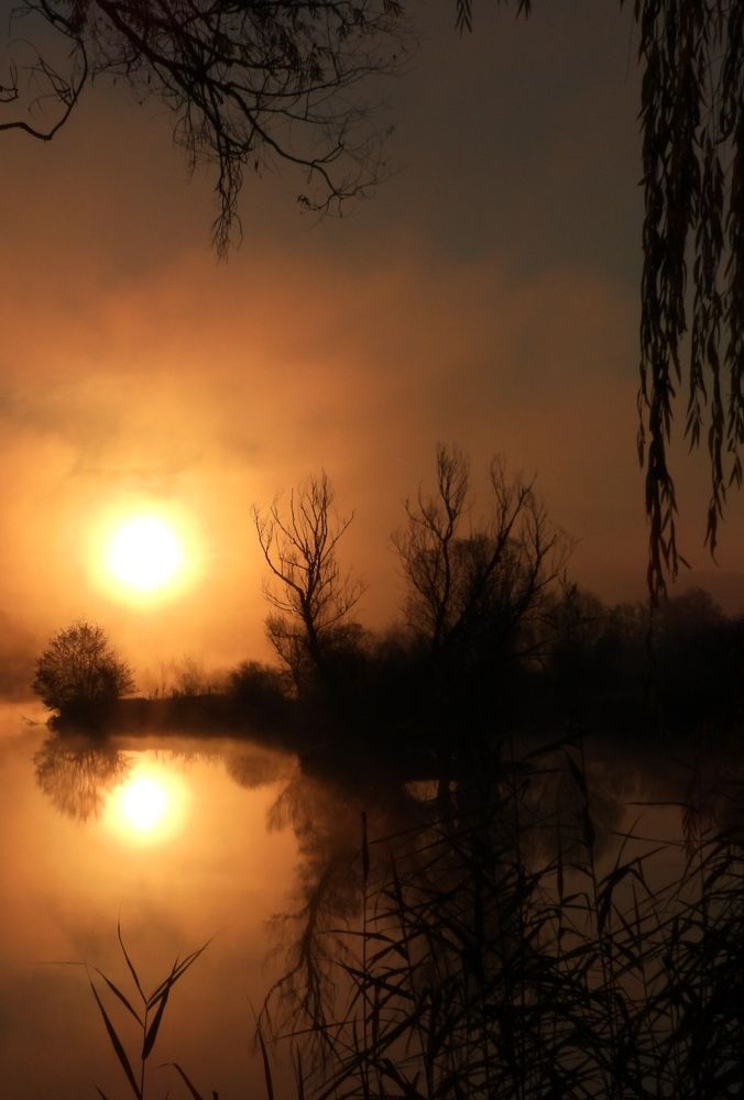 Фотография автора Bastini Gabriele