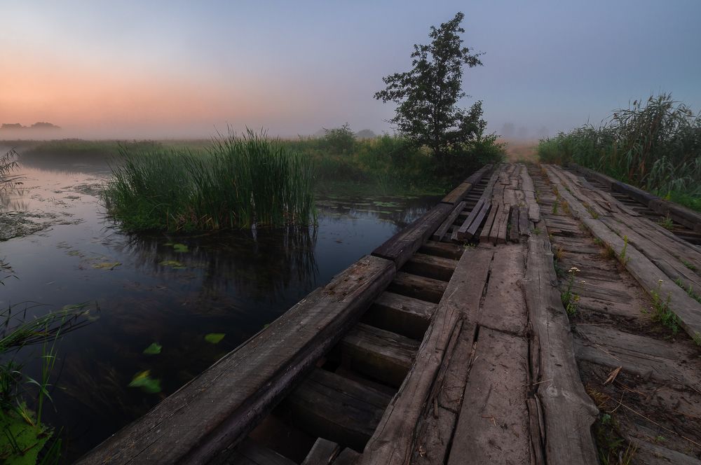 Photograph by Юрий Москалев