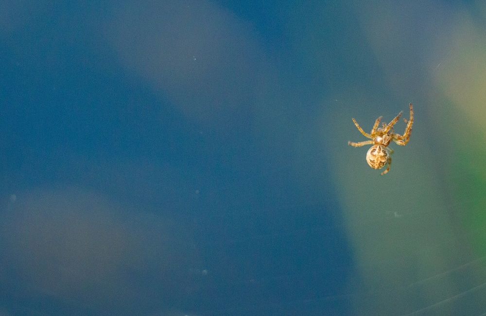 Фотография автора Ivan Karpoff