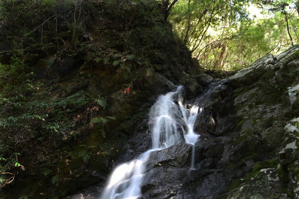 Photograph by mypure heart