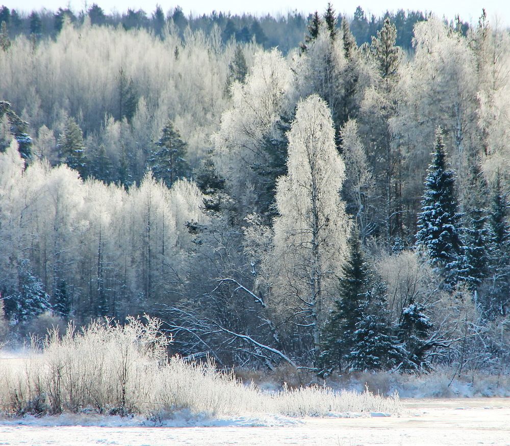 Photograph by Sergei Petrov