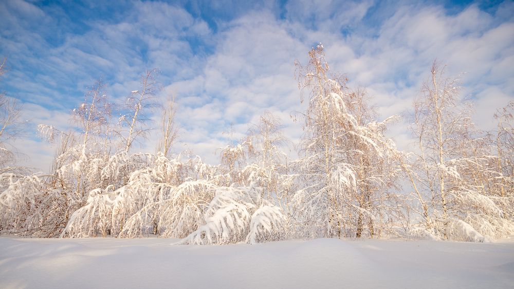 Photograph by Юрий Москалев