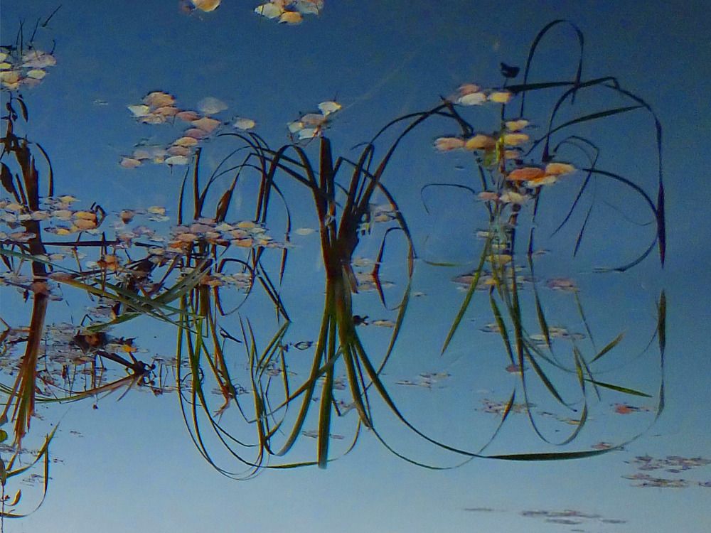 Photograph by Дмитрий Крылов