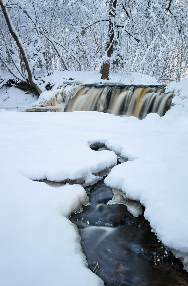 Photograph by JANIS BIJA