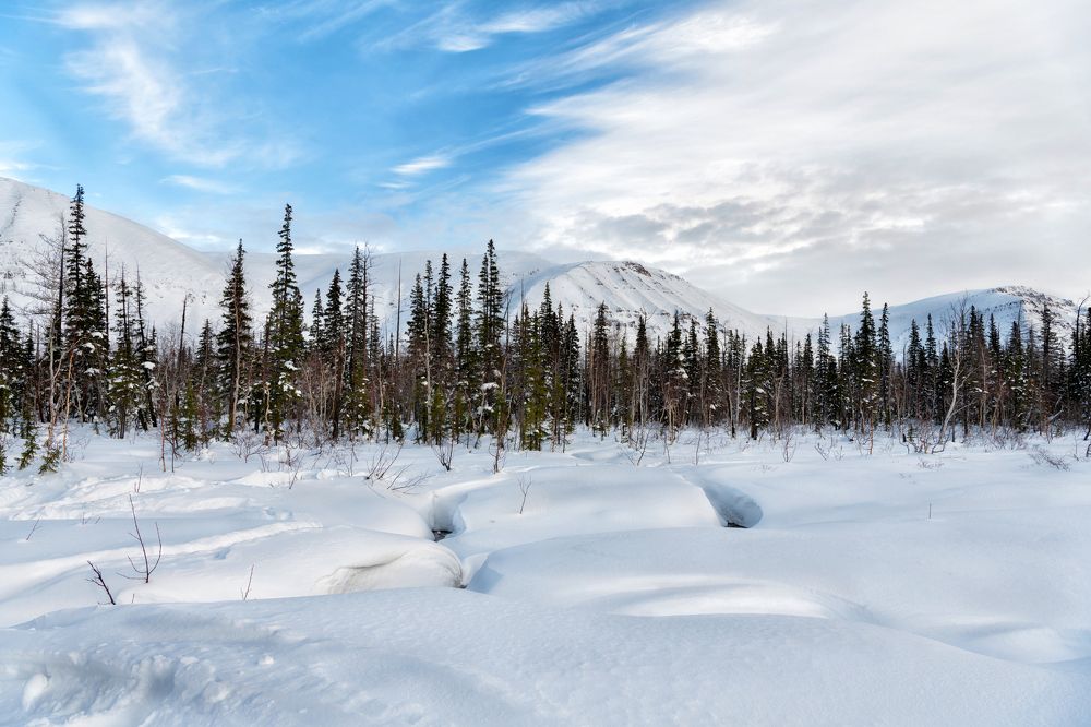 Photograph by Ирина Ульянова