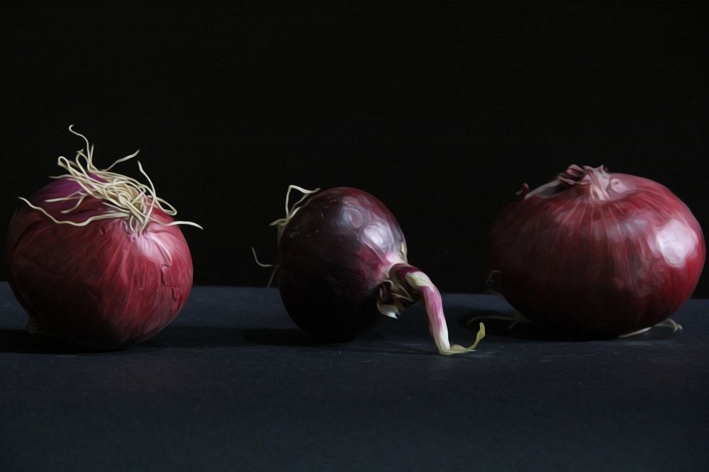Photograph by anahita peymani