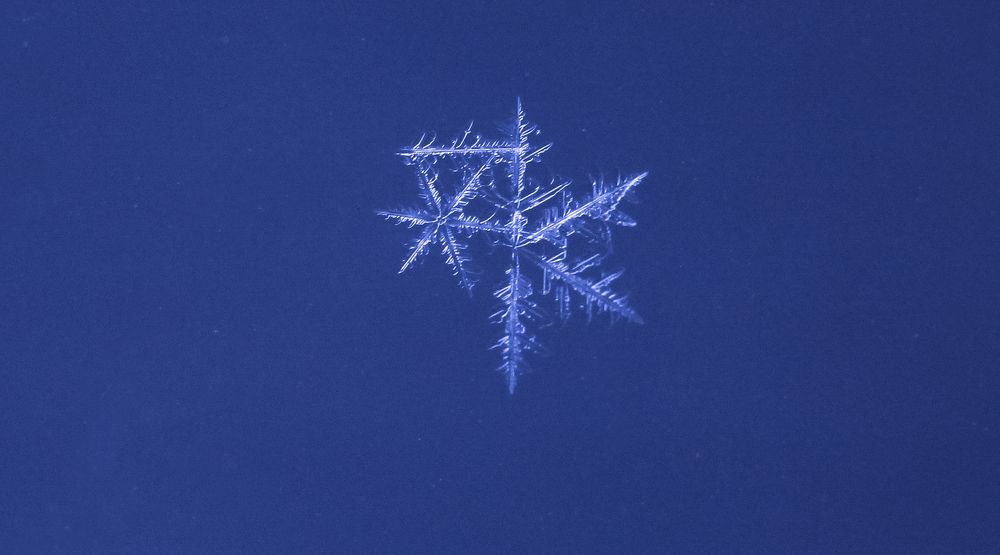 Double snowflake on blue background