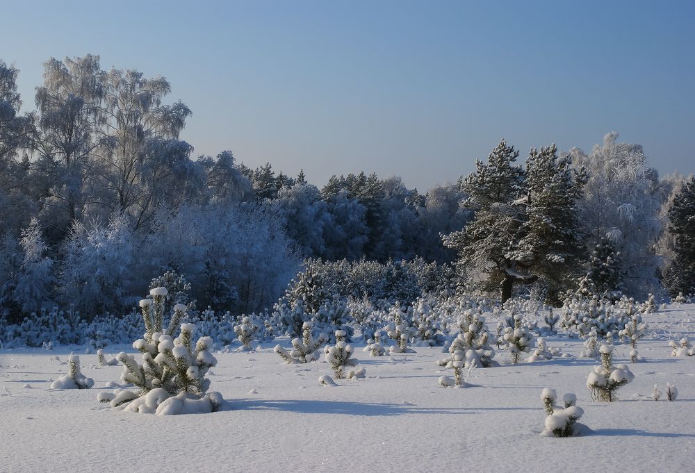 Зимние шапки