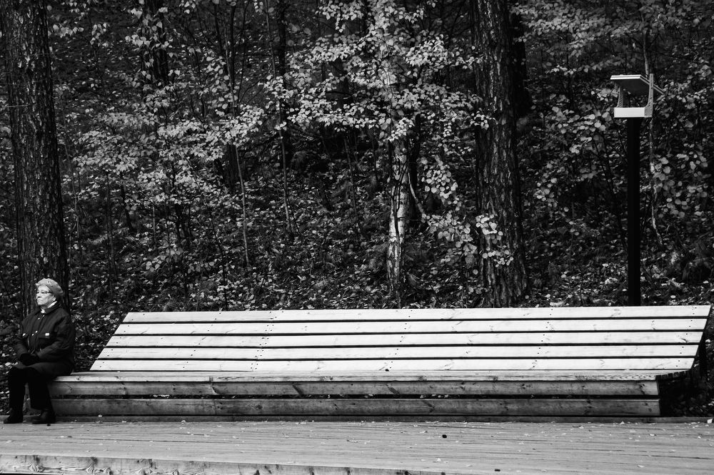 Photograph by Василий Лазарев