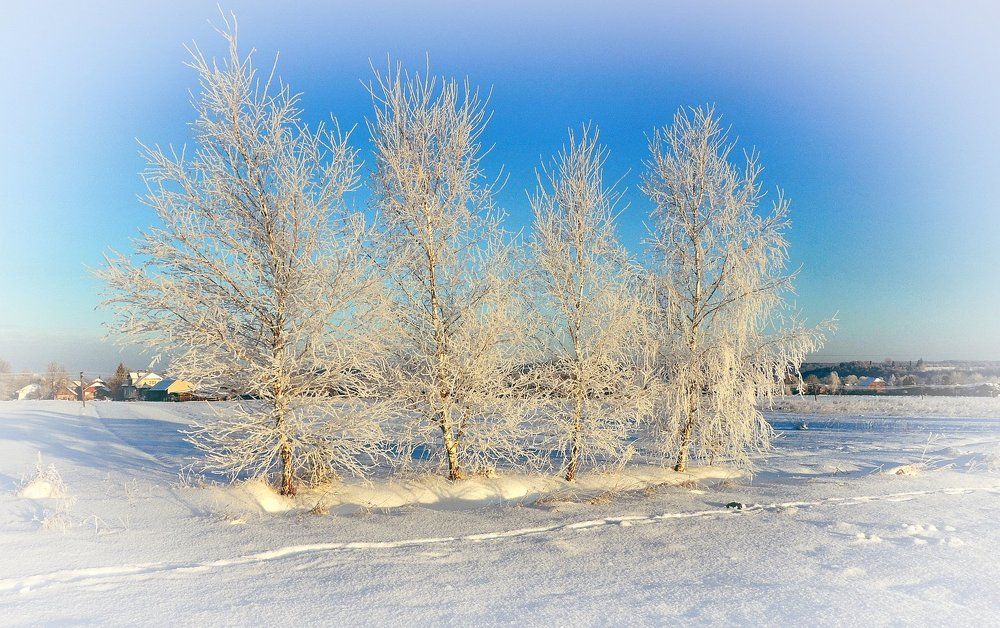 Photograph by Іван Березовський