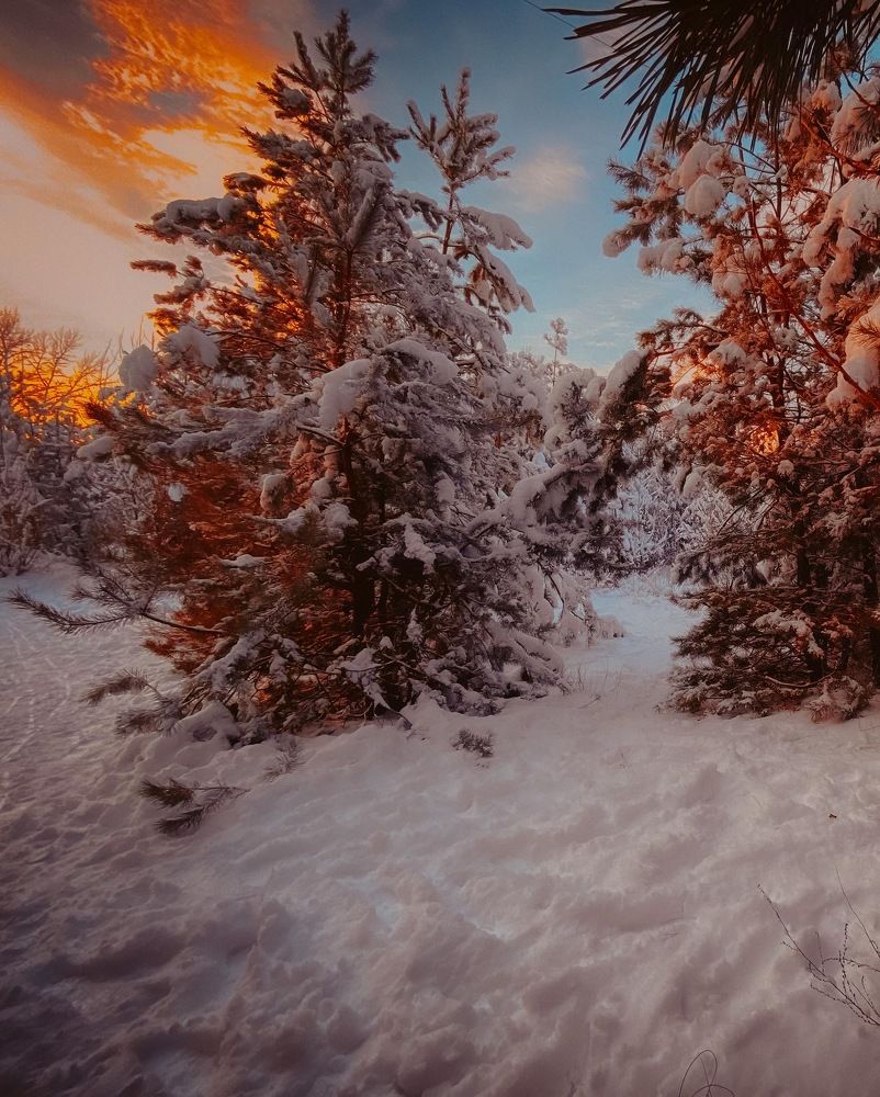 Photograph by Eugen Tamara