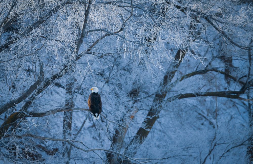 Photograph by George