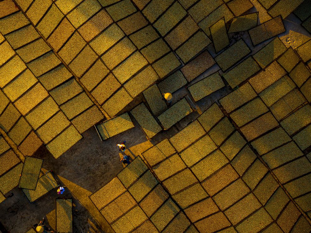 Photograph by Duong Le Thai