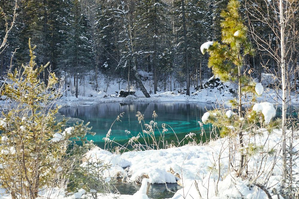 Photograph by Константин Кузнецов